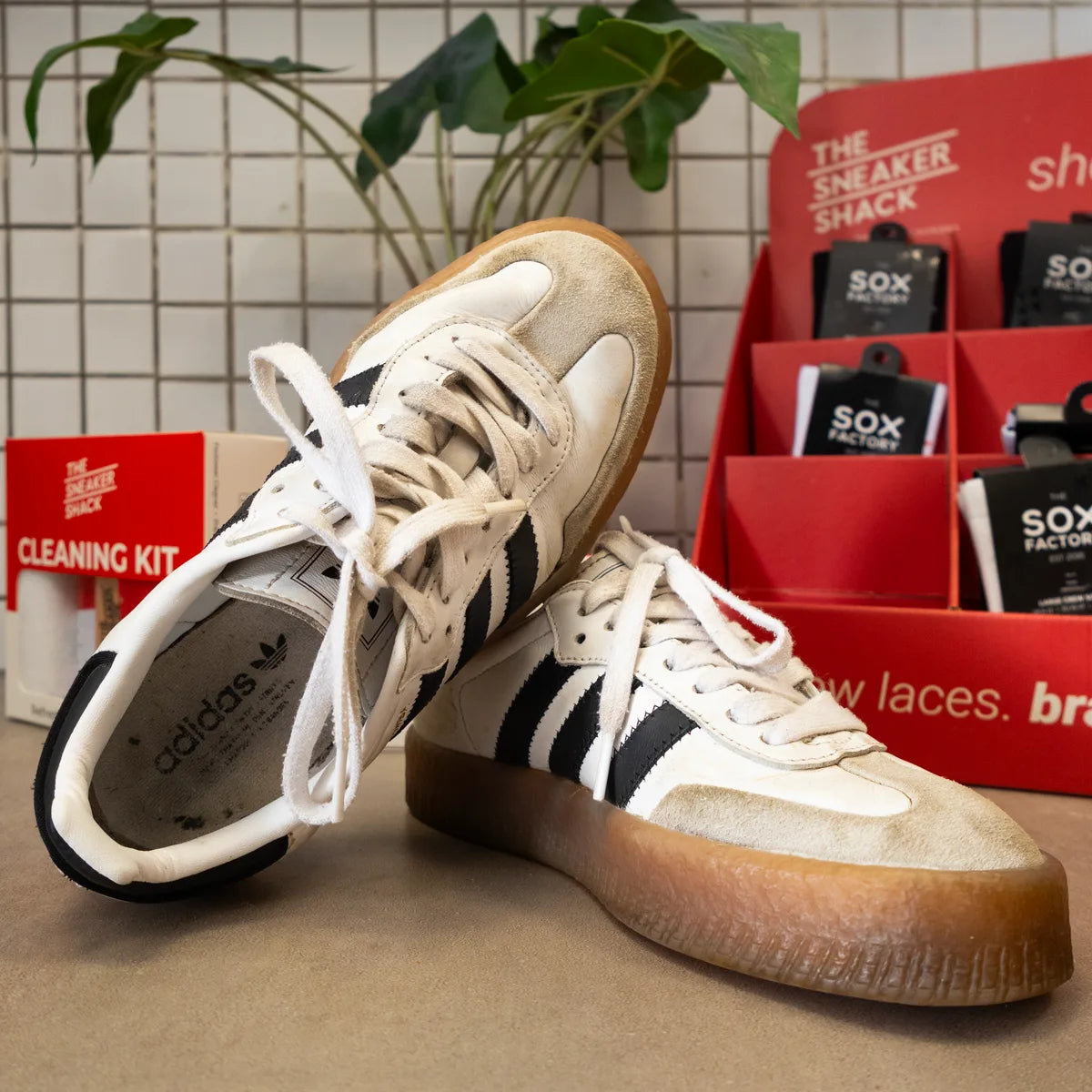 Cleaned cream adidas Samba at The Sneaker Shack